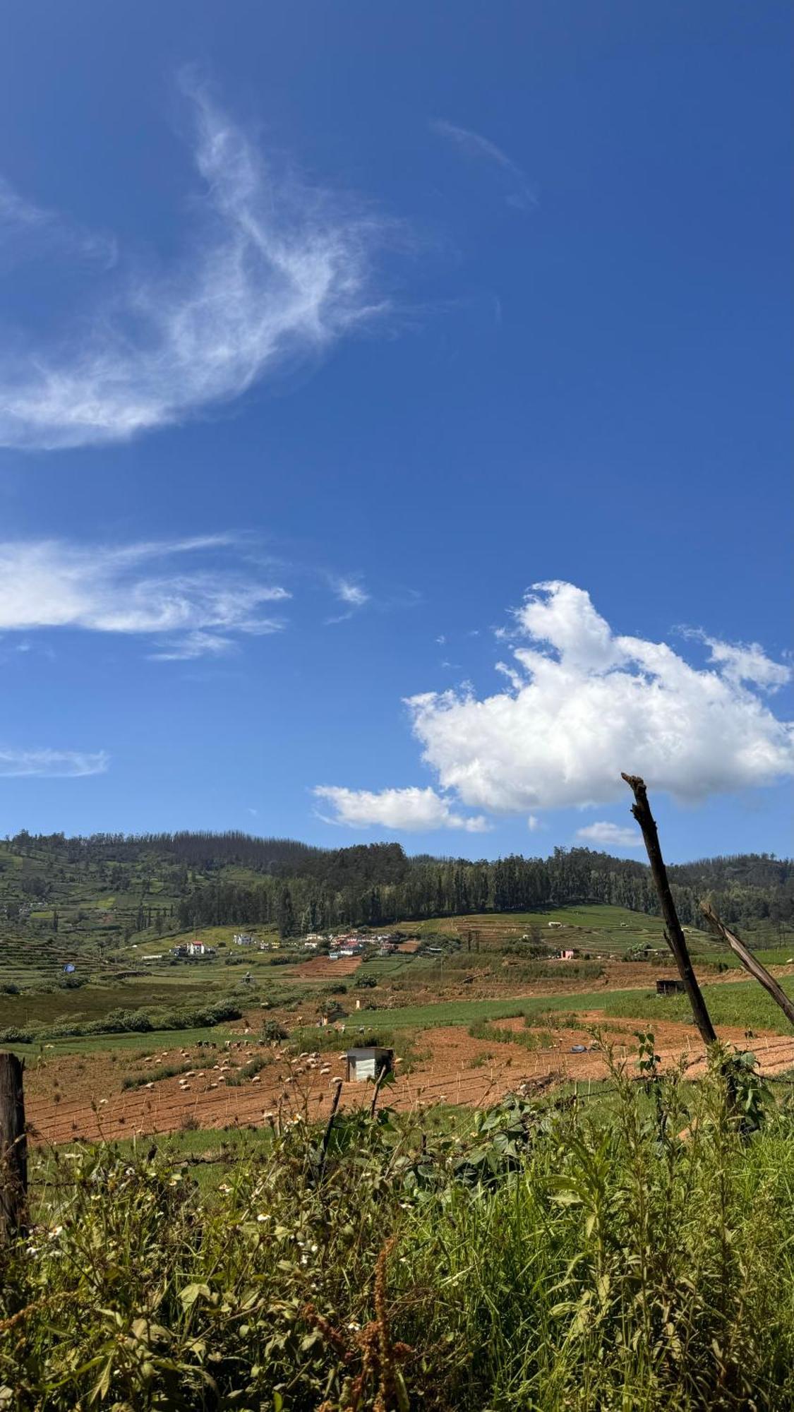 The Wooden Springs Bed & Breakfast Ooty Exterior foto